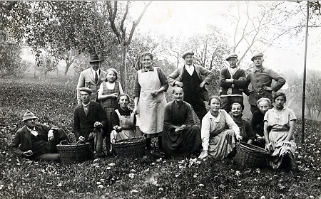Apfelernte in Wetterburg, um 1925