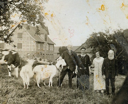 Zwei Ehepaare in Wetterburg mit Kühen und Ziegen, um 1920?