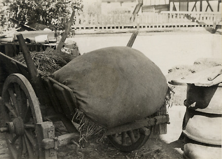 Gefülltes Grastuch auf einem Wagen in Steinperf, um 1936