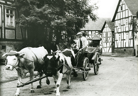 Fuhrwerk in der Lahntalstraße in Roth, 1948/49