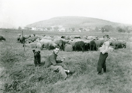 Schafherde mit Hirten vor Roth, 1950-1953