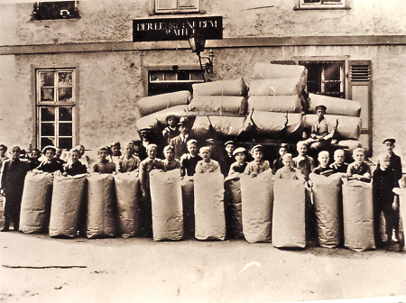 Heilkräutersammlung in Brandoberndorf, 1917