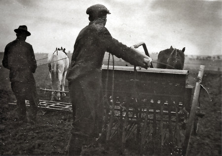 Bauern beim Eggen und Säen in Brandoberndorf, um 1935
