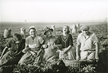 Arbeitspause während der Kartoffelernte in Schönstadt, um 1940