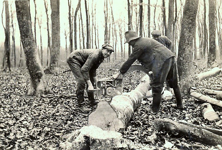 Drei Männer bei der Waldarbeit in der Nähe von Brandoberndorf, 1941