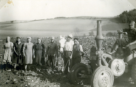 Erntehelfer bei der Zuckerrübenernte in Hattenbach, um 1955