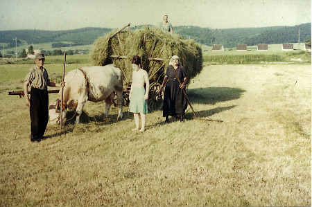 Kleinbäuerliche Familie aus Kerspenhausen bei der Heuernte, um 1965
