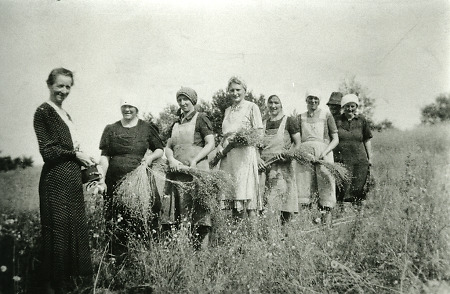 Frauen bei der Flachsernte bei Kerspenhausen, um 1938