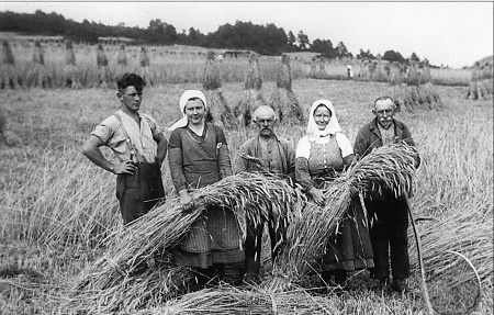 Getreideernte in Oberroßbach, um 1935