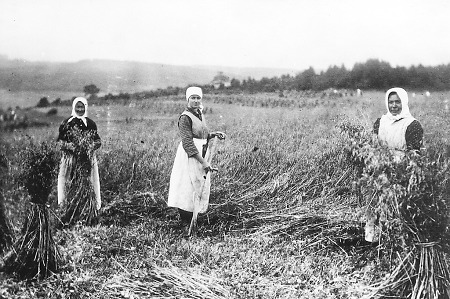 Frauen bei der Haferernte in Offdilln, späte 1930er Jahre