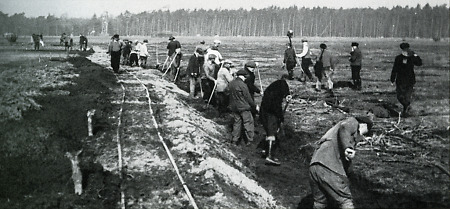 Rodungsarbeiten für den neuen Frankfurter Flughafen, 1934