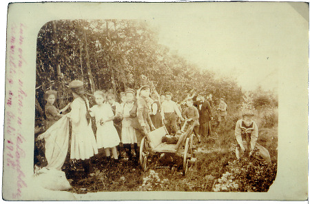 Gruppe von Butzbacher Kindern beim Laubheusammeln, Juli 1918