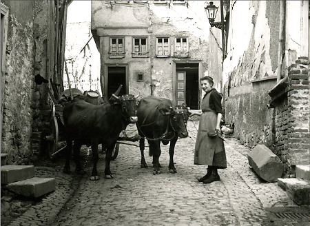 Frau mit ihren Kühen in Herborn, 1926 (Ausschnitt)