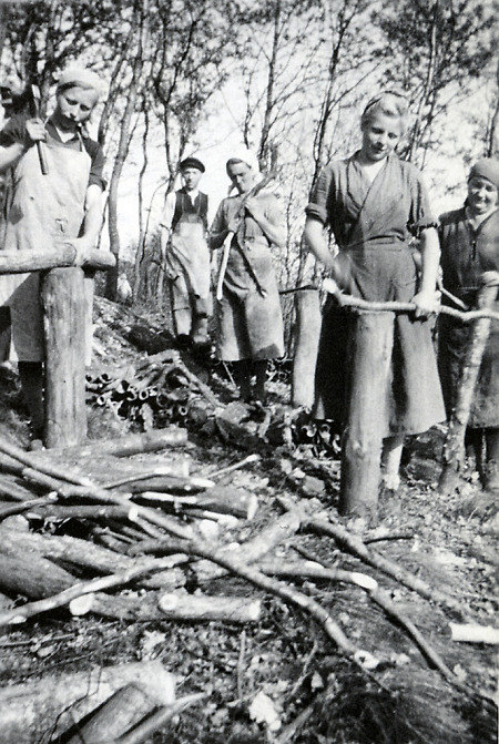 Frauen in Langenthal beim Holzmachen, 1943