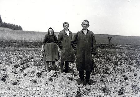Ältere Frau mit Söhnen (?) aus Schrecksbach bei der Feldarbeit, um 1930