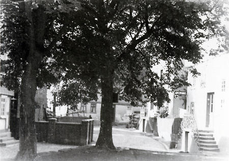Linde in Battenberg, um 1920-1930