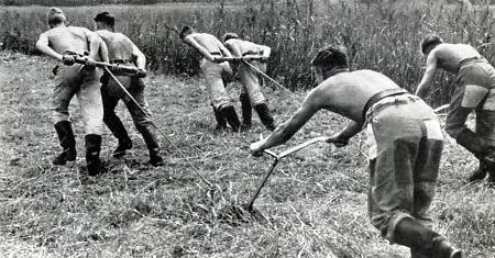 Reichsarbeitdienst bei der Feldarbeit, um 1939