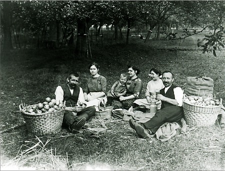 Wagnerfamilie aus Gelnhausen bei der Apfelernte, 1915