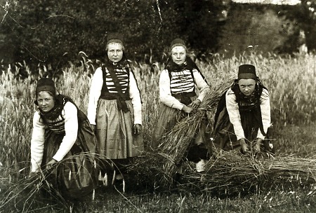 Vier junge Frauen aus Lixfeld bei der Getreideernte, um 1920?
