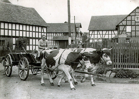 Frau mit Kuhgespann auf einer Dorfstraße in Bracht, um 1940?