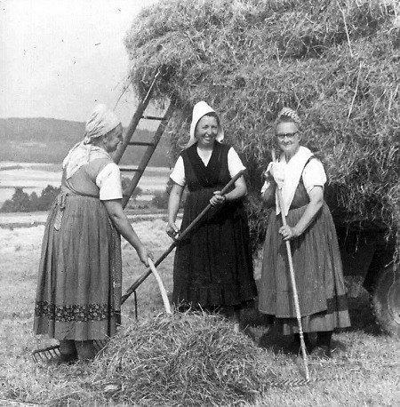 Drei Frauen aus Dreihausen bei der Heuernte, um 1960