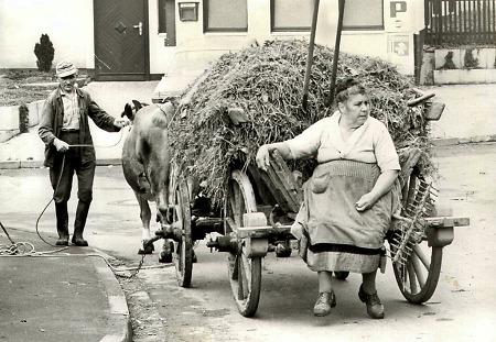 Älteres Paar in Reddehausen mit einem Wagen Grünfutter, um 1970