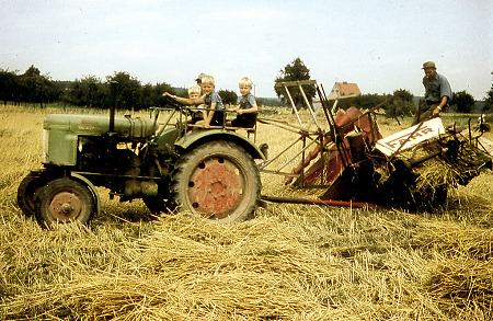 Getreideernte in Stausebach, um 1958