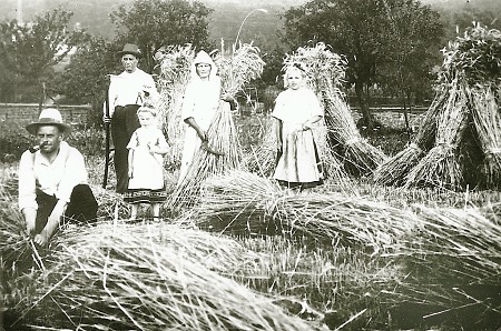 Familie aus Hachborn beim Binden der Garben, um 1920