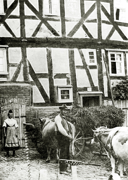 Ehepaar mit Kühen vor dem Hof in Hachborn, um 1920