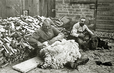 Zwei Männer in Hachborn beim Schafescheren, um 1920