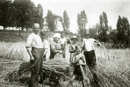 Familie in Hachborn bei der Getreideernte, um 1930