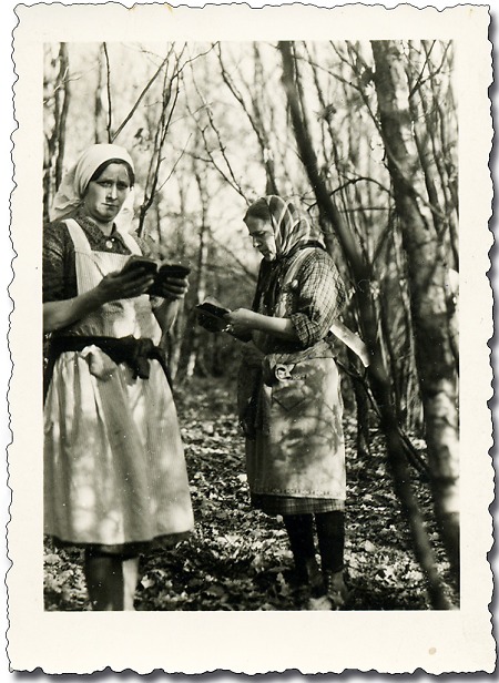 Zwei Frauen bei der Teilung des Haubergs in Offdilln, 1960er Jahre