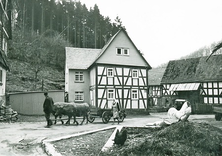 Älteres Ehepaar mit einem Kuhgespann auf der Dorfstraße in Wallenfels, 1963