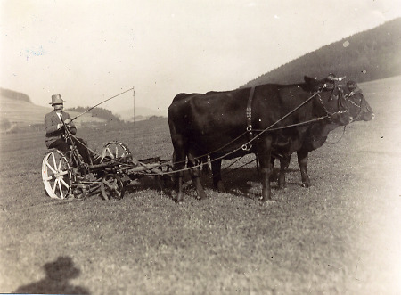 Bauer in Oberdieten beim Grasmähen mit der Mähmaschine, um 1935