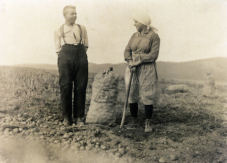 Junger Mann aus Oberdieten und seine Schwester beim Kartoffelernten, um 1935