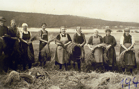 Röddenauer Frauen beim Flachsrupfen auf einem Feld, 1930er Jahre