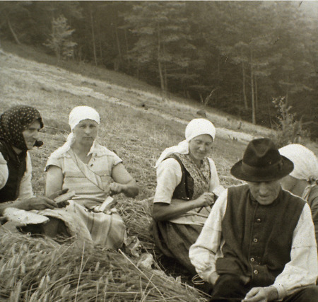 Familie aus Röddenau bei einer Kaffeepause während der Getreideernte, 1939-1945