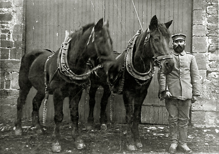 Mann aus Reiskirchen mit zwei Pferden, 1914