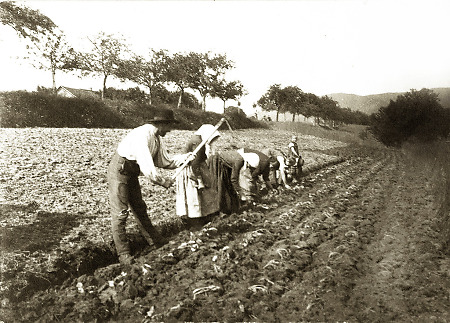 Familie in Weschnitz bei der Feldarbeit, 1907