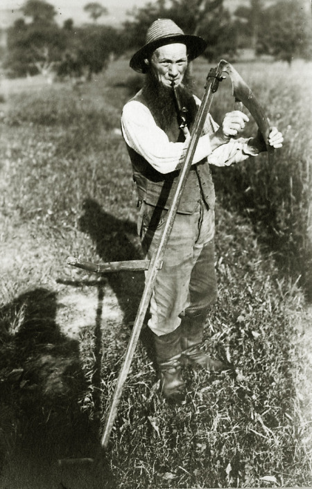 Der Bauer Franz Müller in Weschnitz beim Schärfen der Sense, 1907