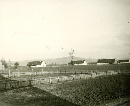 Aussiedlerhöfe in Allmendfeld, 1939