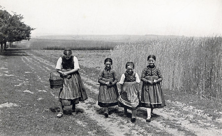 Kinder in Mardorf im Feld während der Ernte, 1936