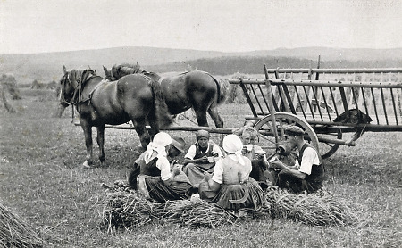 Arbeitspause bei der Getreideernte in Mardorf, 1936