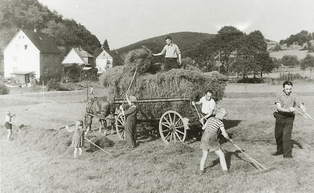 Familie in Amdorf bei der Heuernte, um 1955