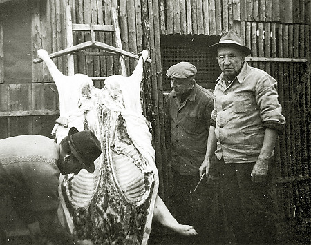 Hausschlachtung in Amdorf, 1952