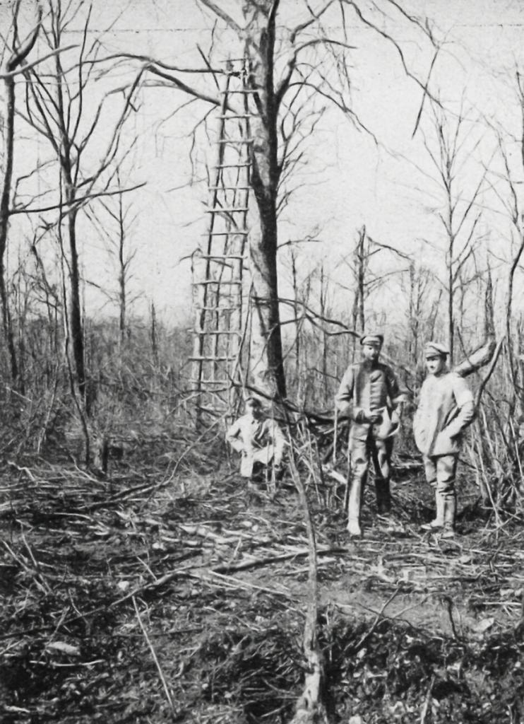 Zwei Leutnante und ein Gefreiter des Reserve-Jäger-Bataillons im Rabenwald, um 1917