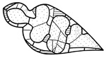 Maßwerkäste: ES [= Erhaltungsschema] Chor I, 13a-c, 1-2AB/BC [2BC]