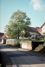 Der Gerichtsplatz in Königswald, 1981 Vorschaubild