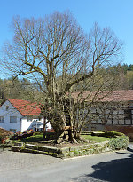 Vorschaubild