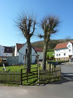 Vorschaubild